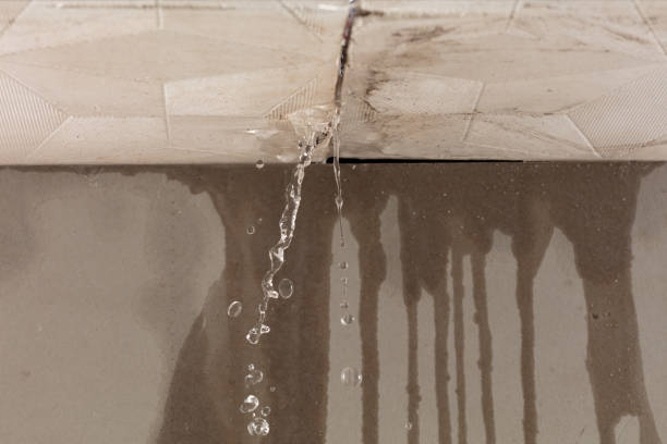 Professional Burst Pipe Cleanup technician working in Silver Point, TN